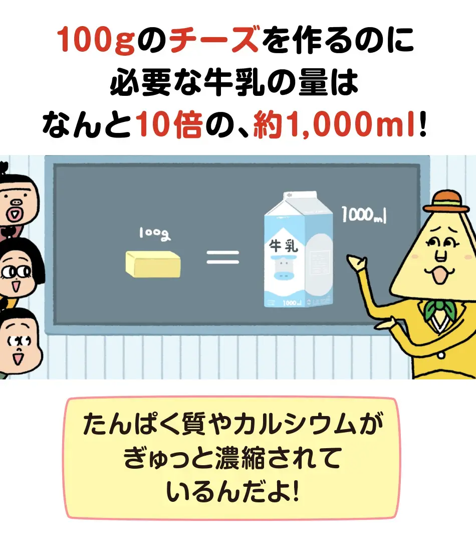 100gのチーズを作るのに​必要な牛乳の量は​なんと10倍の、約1,000ml！たんぱく質やカルシウムが​ぎゅっと濃縮されているんだよ！​​​