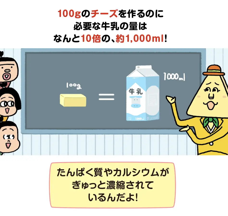 100gのチーズを作るのに​必要な牛乳の量は​なんと10倍の、約1,000ml！たんぱく質やカルシウムが​ぎゅっと濃縮されているんだよ！